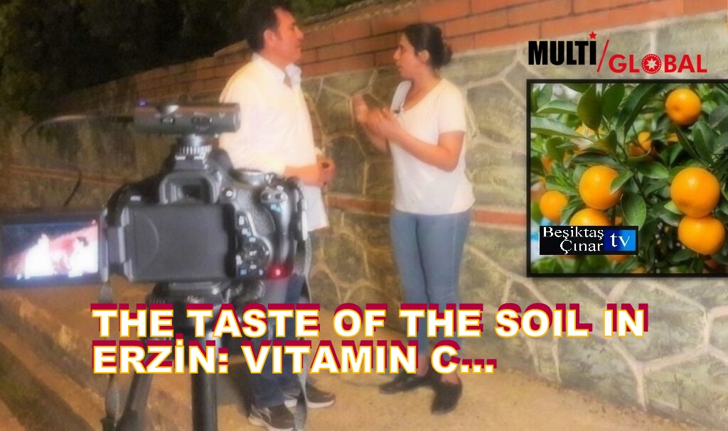 ERZİN DİYARINDA TOPRAĞIN TADI: “C” VİTAMİNİ…