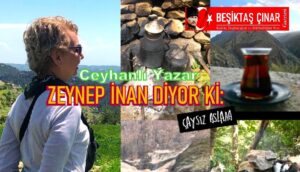 Demini Almak
