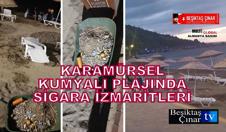 Mavinin yeşille buluştuğu Karamürsel’in Kumyalı Plajı’nda çevre kirliliği alarmı…